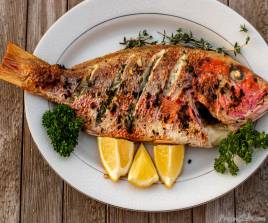 Seafood
