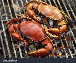 Seafood